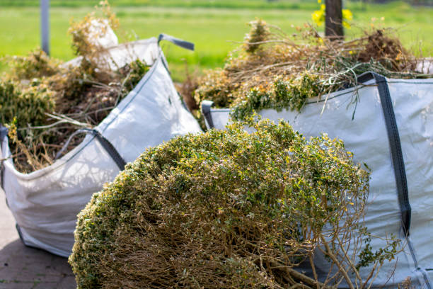 Attic Cleanout Services in Macdonnell Heights, NY